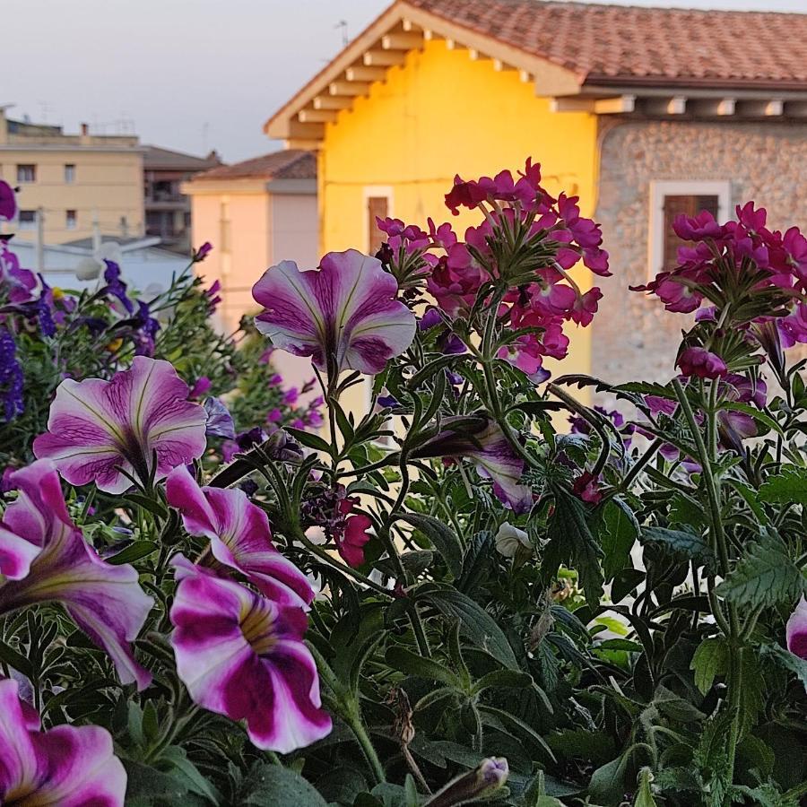 Lovely Casa Paola Villlafranca Centro Zimmer Rooms Villafranca di Verona Eksteriør billede